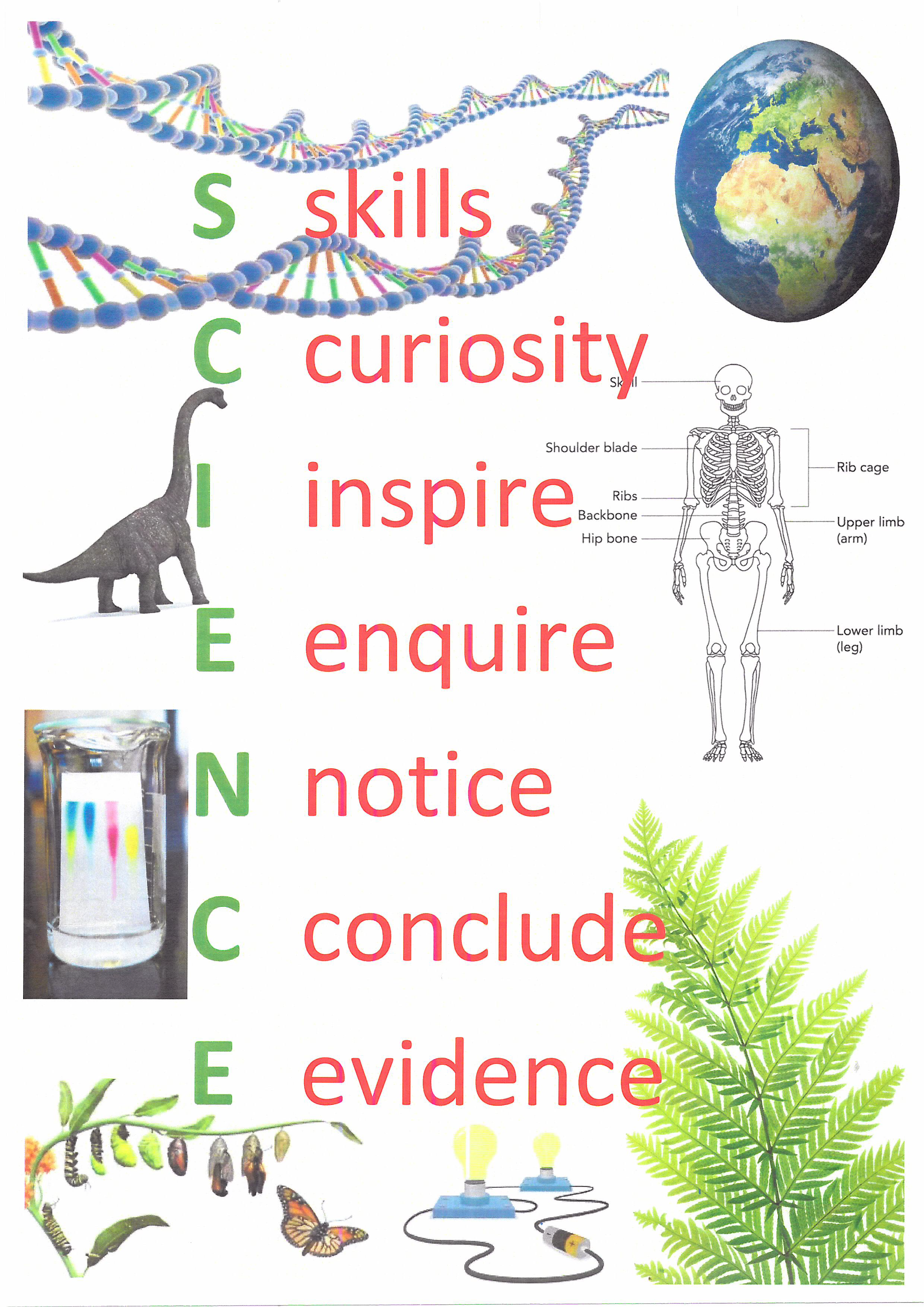 scientific principle definition